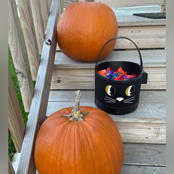 SOLD on Ⓜ️ Coach Cat Bucket - Picture 8 of 9